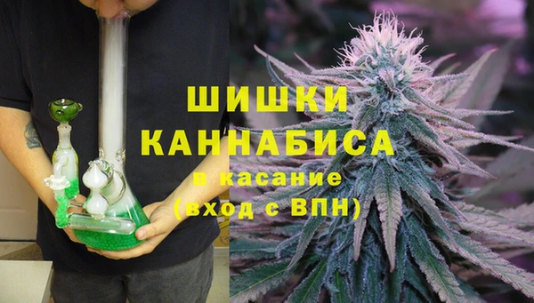 бошки Заводоуковск