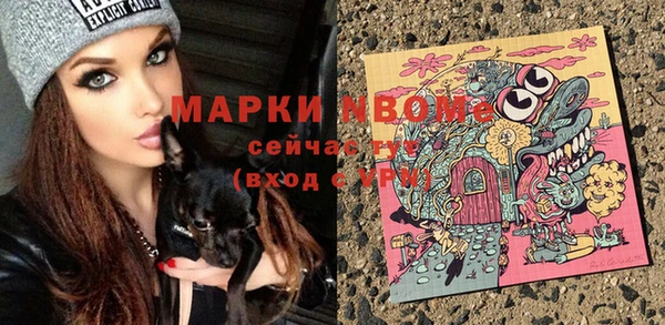 гашик Заволжье