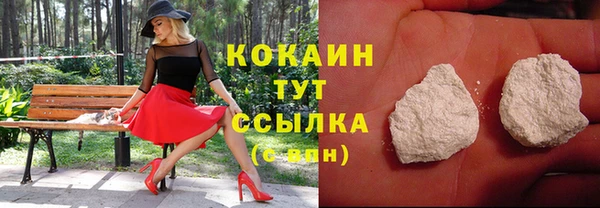 бошки Заводоуковск