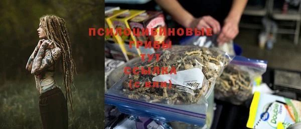 гашик Заволжье