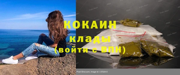 бошки Заводоуковск