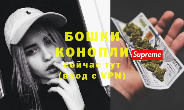 бошки Заводоуковск